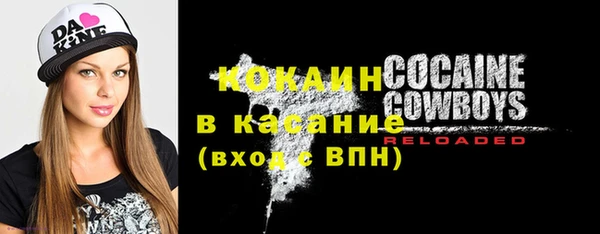 твердый Алексеевка