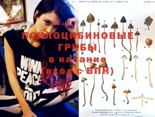 таблы Алексин