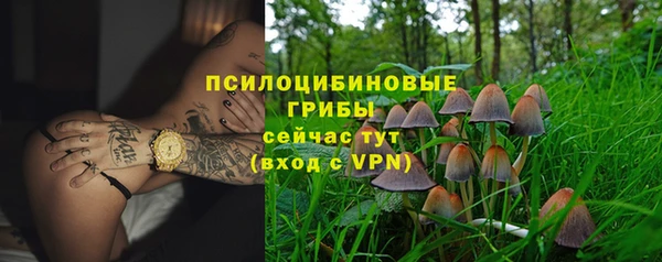 таблы Алексин