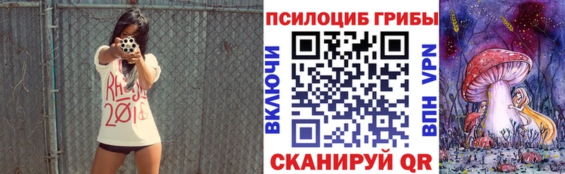 Галлюциногенные грибы Psilocybine cubensis Неман
